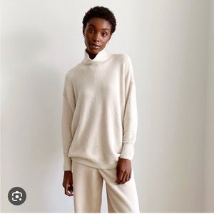 Aritzia Wilfred Free Turtleneck Sweater